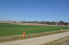 Magruder Plots, 125th Harvest, Agronomy Experiment Station