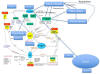 Carbon Nitrogen Cycle