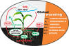 Nitrogen Cycle and Global Warming
