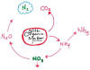 Nitrogen Cycle Simplified