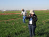 OSU Students collecting NDVI data