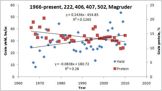 Grain protein and winter wheat grain yield