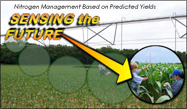 Making better mid-season fertilizer N decisions using predicted yields