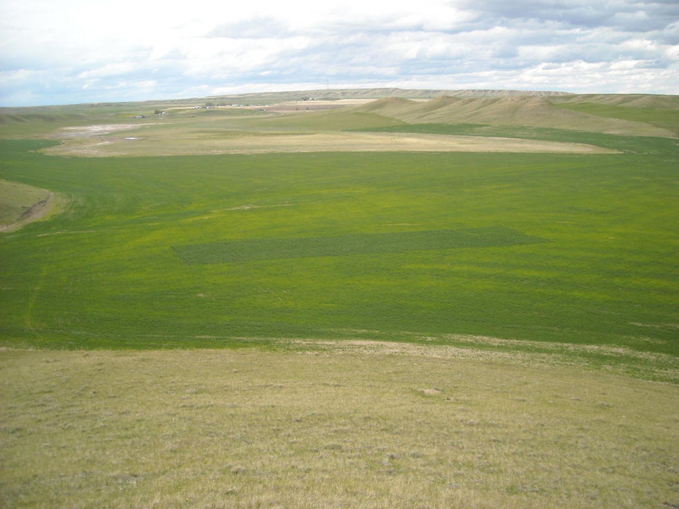 Image result for nitrogen rich strip montana