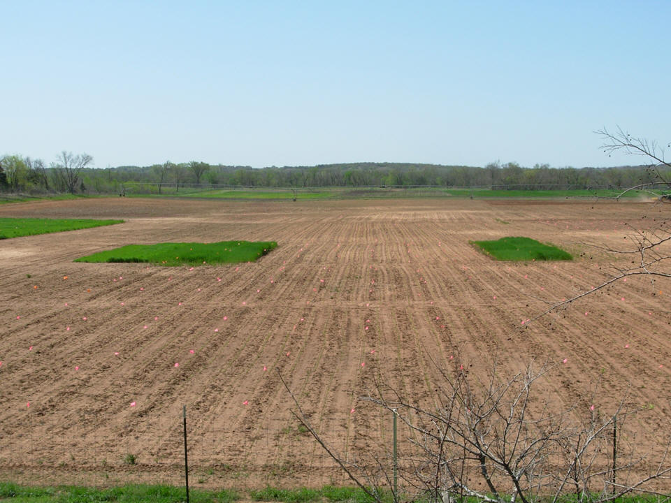 Indicator Crops Preplant