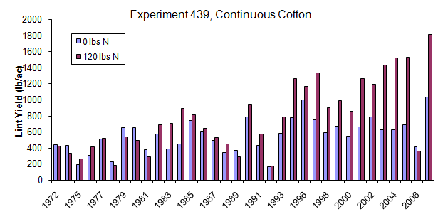 439, Continuous Cotton