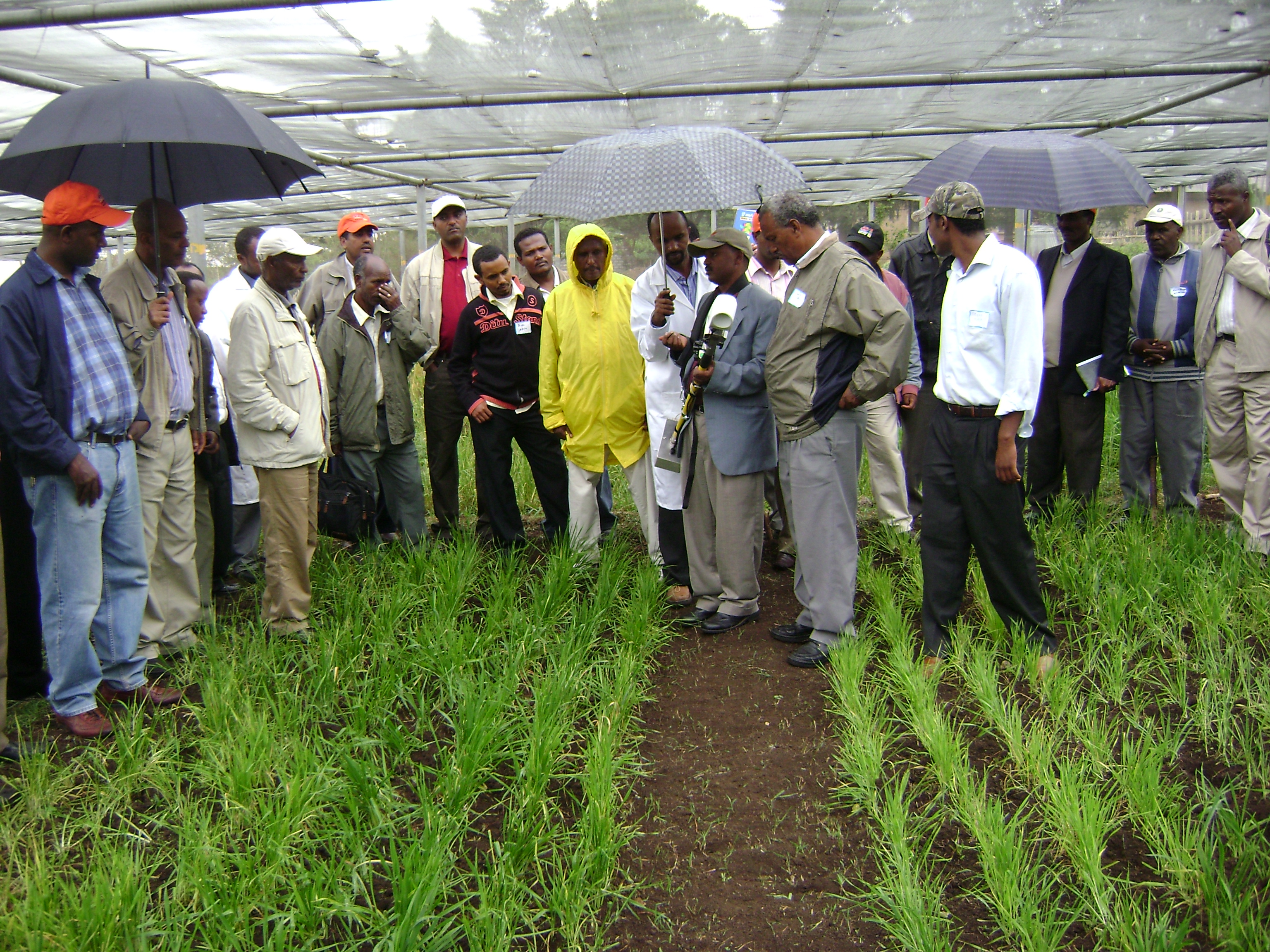 Ethiopia, 