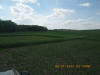 Wheat N Rich Strips for Corn, Nebraska