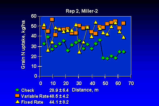 wpe15.jpg (29103 bytes)